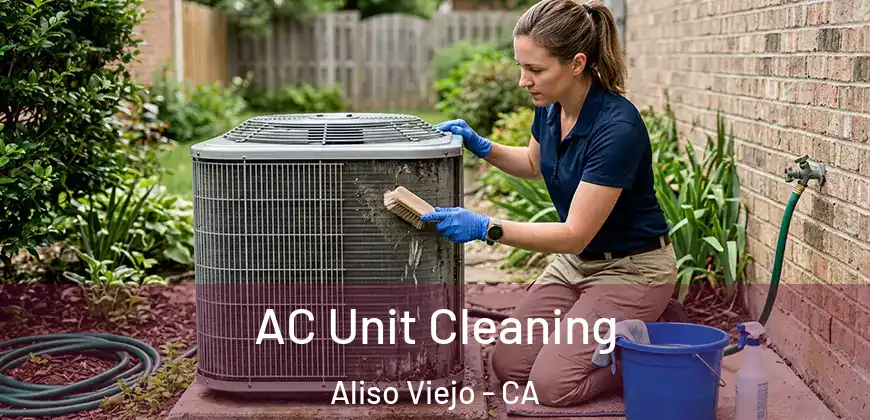  AC Unit Cleaning Aliso Viejo - CA